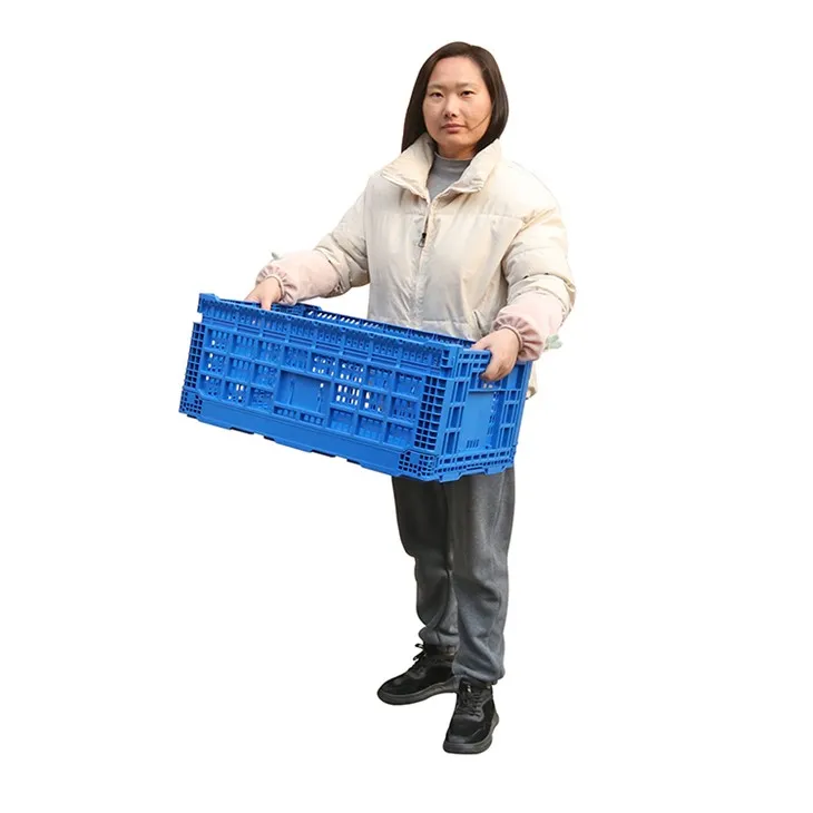 Ventilated PP Stacking Vegetables Collapsible Plastic Crate high quality
